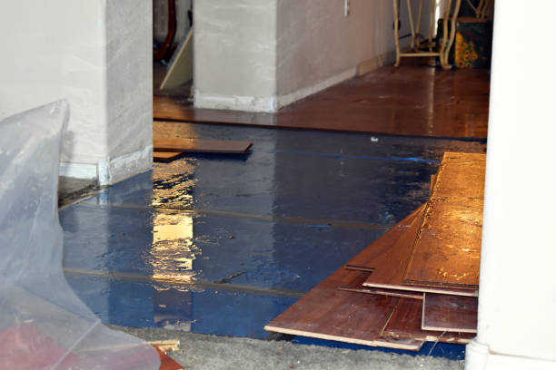 Professional Burst Pipe Cleanup technician working in Warrensburg, IL